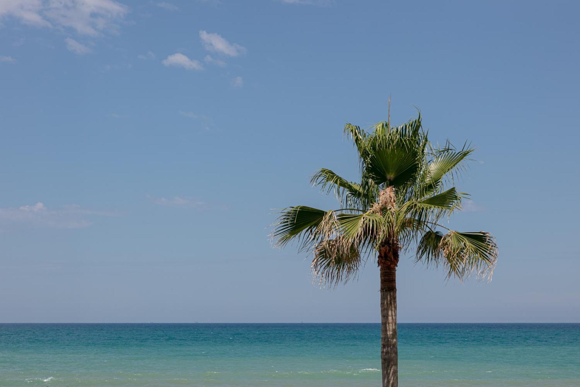 King'S Rooms Termoli Exterior photo